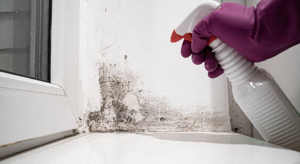 Professional Water damage restoration in Plano, IL